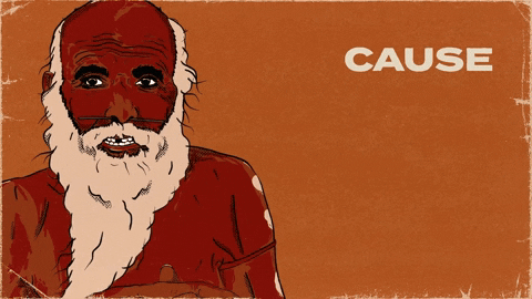 White Australia Worries About The Safety Of A Bomb Throwing Terrorist