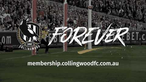The AFL Is Really An Expanded VFL